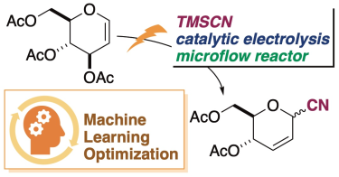 Electrochemical Carbon-Ferrier Rearrangement Using a Microflow Reactor and Machine Learning-Assisted Exploration of Suitable Conditions